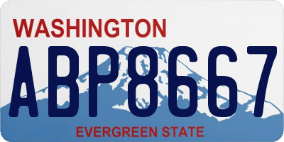 WA license plate ABP8667