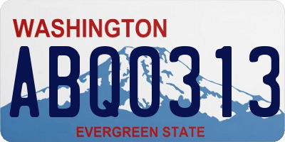WA license plate ABQ0313