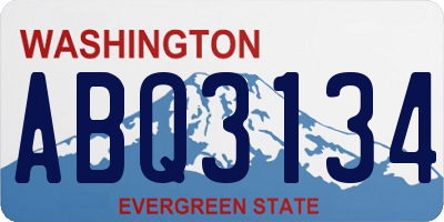 WA license plate ABQ3134