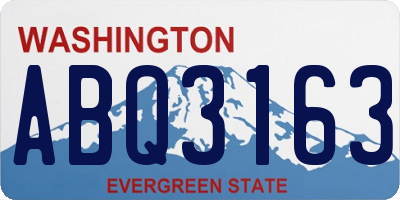 WA license plate ABQ3163