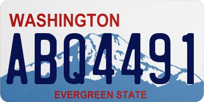 WA license plate ABQ4491