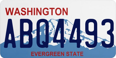 WA license plate ABQ4493