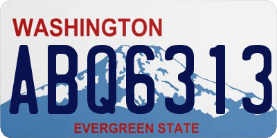 WA license plate ABQ6313