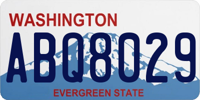 WA license plate ABQ8029