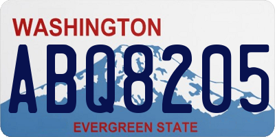WA license plate ABQ8205