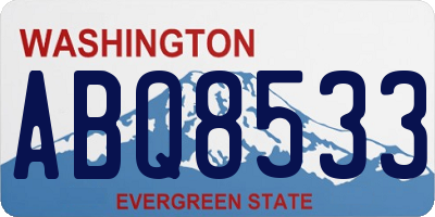 WA license plate ABQ8533