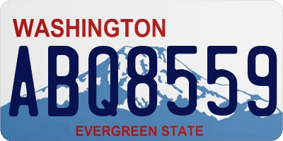 WA license plate ABQ8559