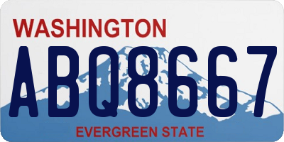 WA license plate ABQ8667