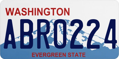 WA license plate ABR0224