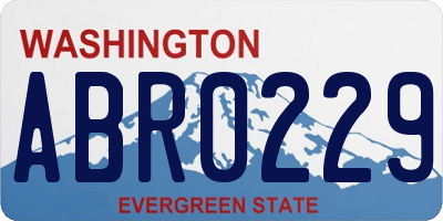 WA license plate ABR0229