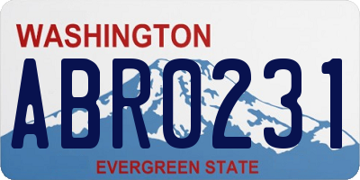 WA license plate ABR0231