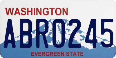 WA license plate ABR0245
