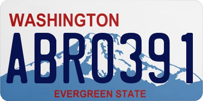 WA license plate ABR0391