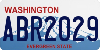 WA license plate ABR2029