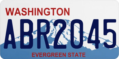 WA license plate ABR2045