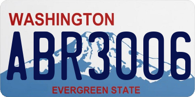 WA license plate ABR3006
