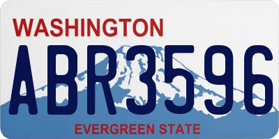 WA license plate ABR3596