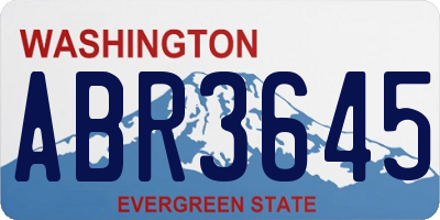 WA license plate ABR3645