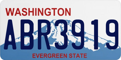 WA license plate ABR3919