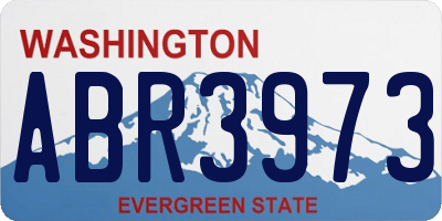 WA license plate ABR3973