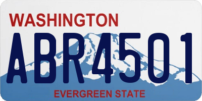 WA license plate ABR4501