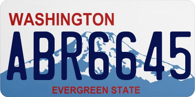 WA license plate ABR6645