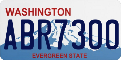 WA license plate ABR7300