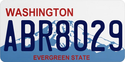 WA license plate ABR8029