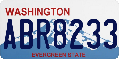 WA license plate ABR8233