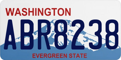 WA license plate ABR8238