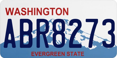 WA license plate ABR8273