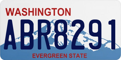 WA license plate ABR8291