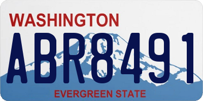 WA license plate ABR8491