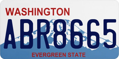 WA license plate ABR8665
