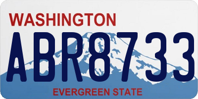 WA license plate ABR8733