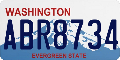 WA license plate ABR8734