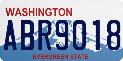 WA license plate ABR9018