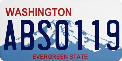 WA license plate ABS0119