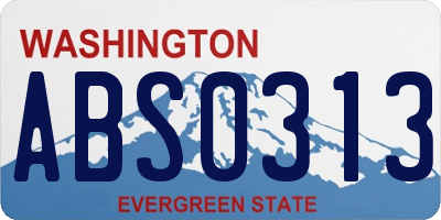 WA license plate ABS0313