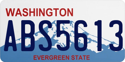 WA license plate ABS5613