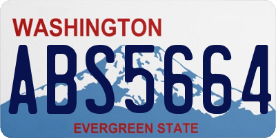 WA license plate ABS5664