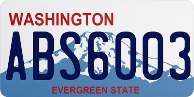 WA license plate ABS6003