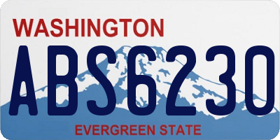 WA license plate ABS6230