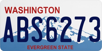 WA license plate ABS6273