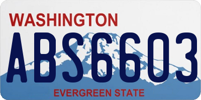 WA license plate ABS6603