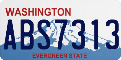 WA license plate ABS7313
