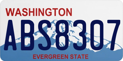 WA license plate ABS8307