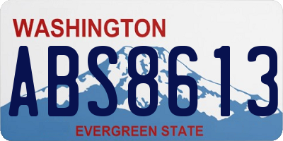 WA license plate ABS8613