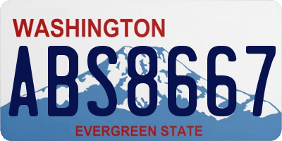 WA license plate ABS8667