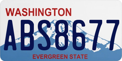 WA license plate ABS8677